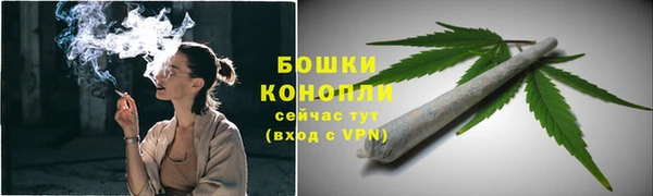 Альфа ПВП Дмитриев
