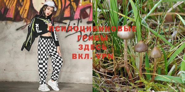 меф Нефтегорск