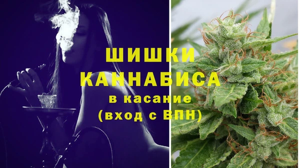 Альфа ПВП Дмитриев