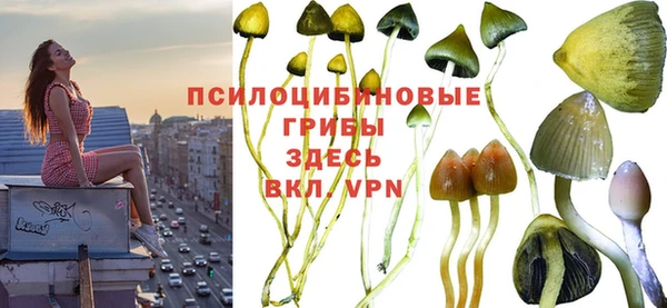 Альфа ПВП Дмитриев
