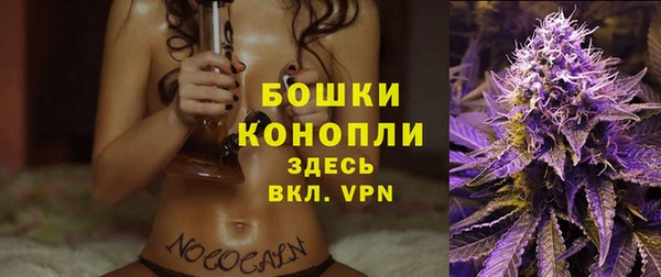 хмурый Ельня