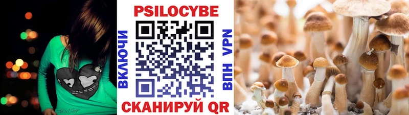 Галлюциногенные грибы мухоморы  Перевоз 