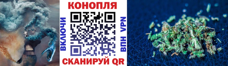 где продают   Перевоз  МАРИХУАНА SATIVA & INDICA 